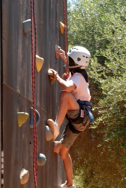 Protur Badía Park Aparthotel 6