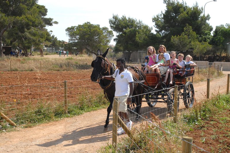 Protur Badía Park Aparthotel 33