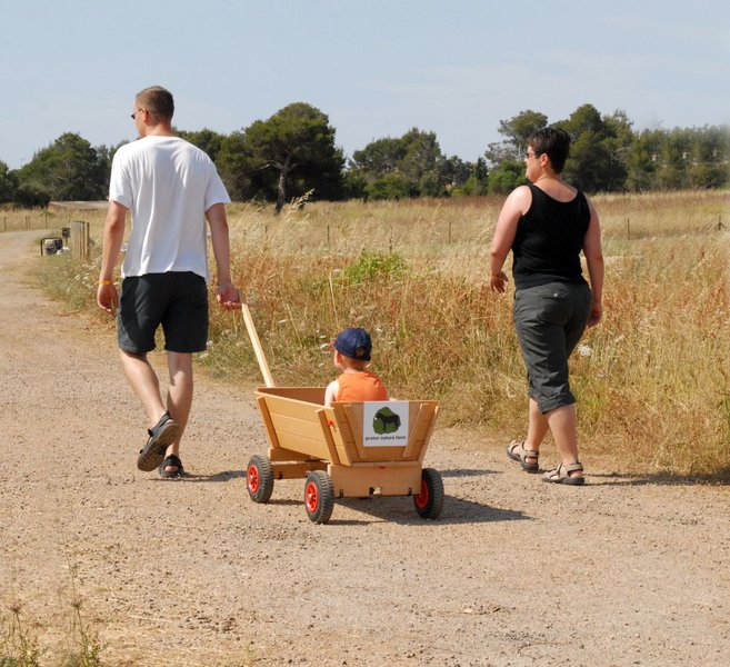 Protur Badía Park Aparthotel 34