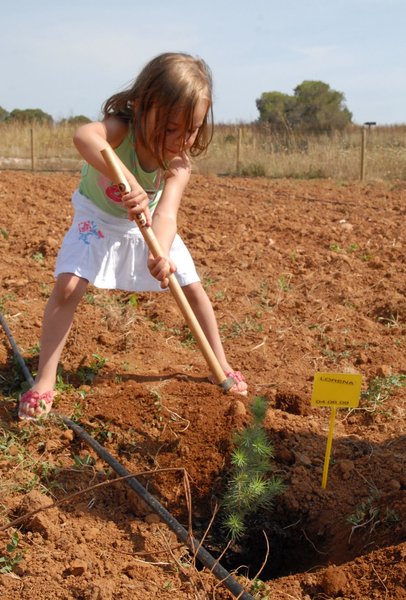 Protur Badía Park Aparthotel 36