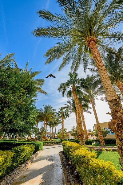 Movie Gate Golden Beach demnächst Golden Beach Resort 24 - Garden