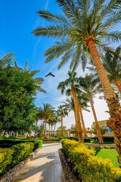 Golden Beach Resort 28