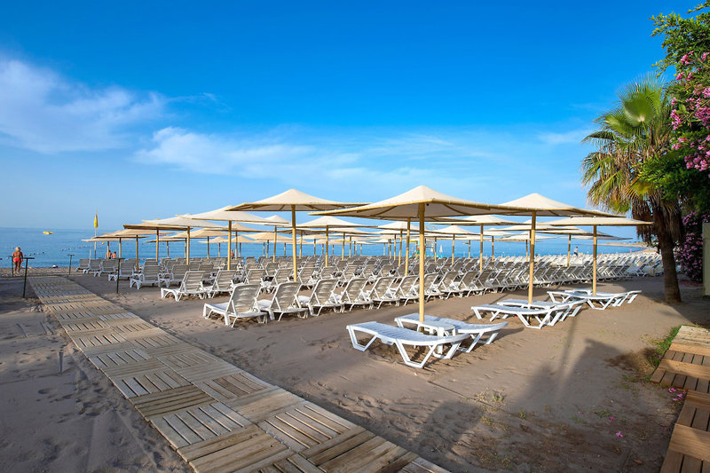 Lycus Beach 51