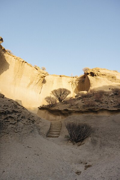 Barceló Tenerife 36