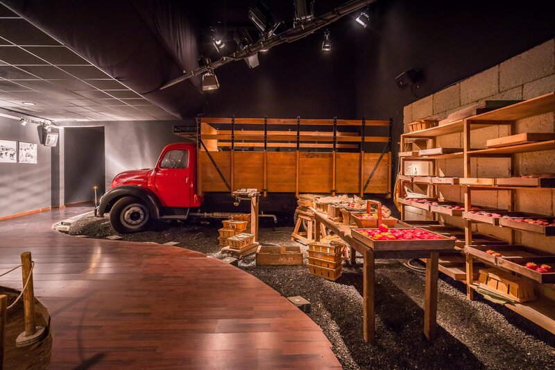 Barceló Tenerife 43