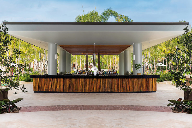 Dreams Royal Beach Punta Cana 19