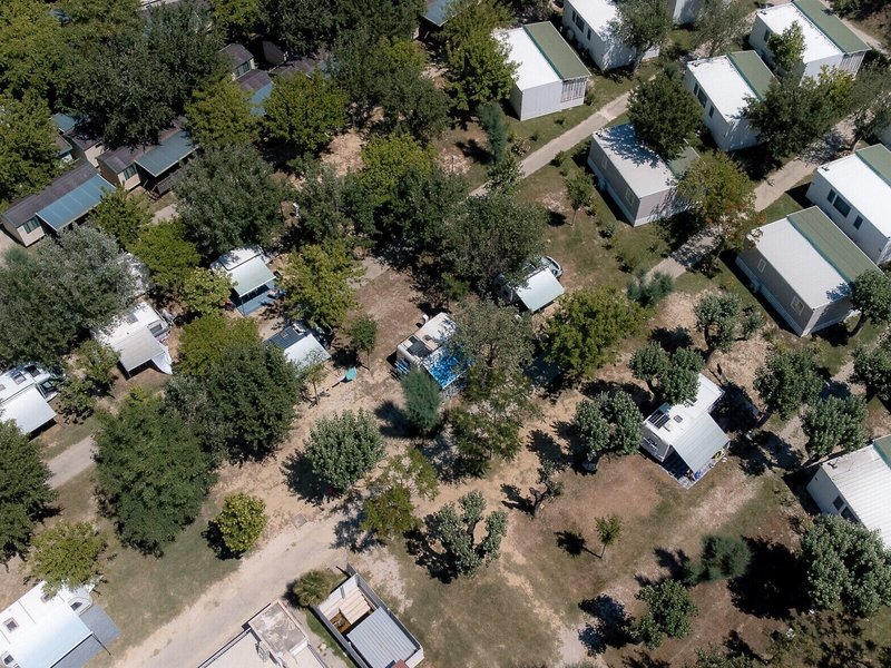 Club Del Sole Stork Family Collection