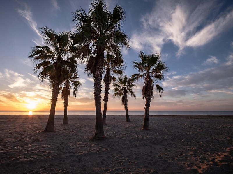 Estival Vendrell Platja 6