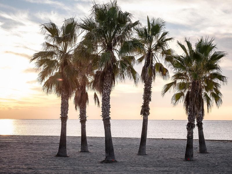 Estival Vendrell Platja 7