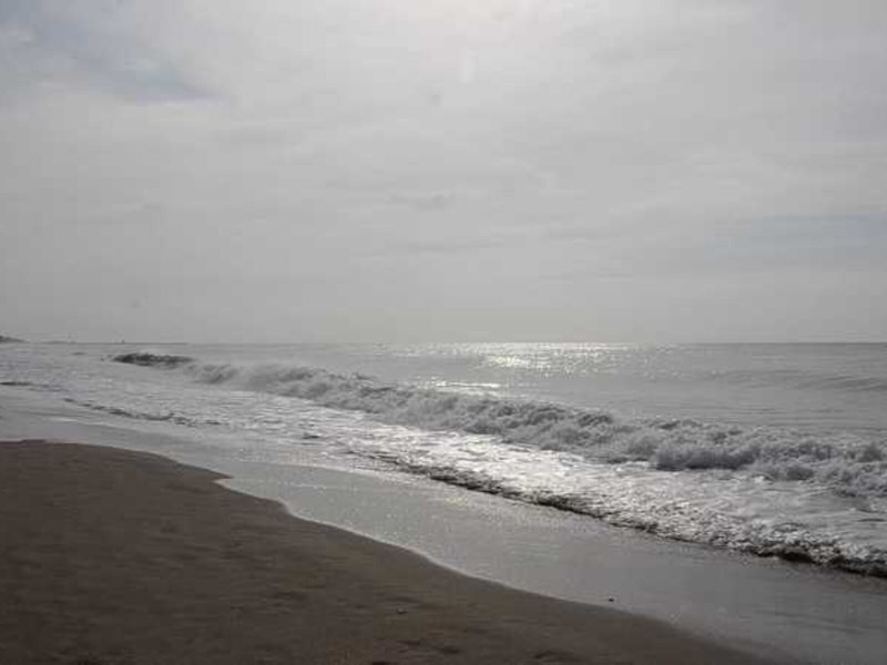 Estival Vendrell Platja 8