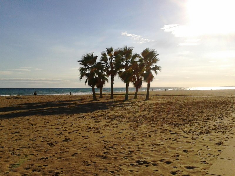 Estival Vendrell Platja 11