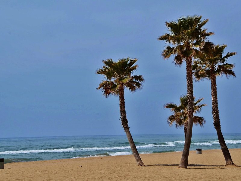 Estival Vendrell Platja 13