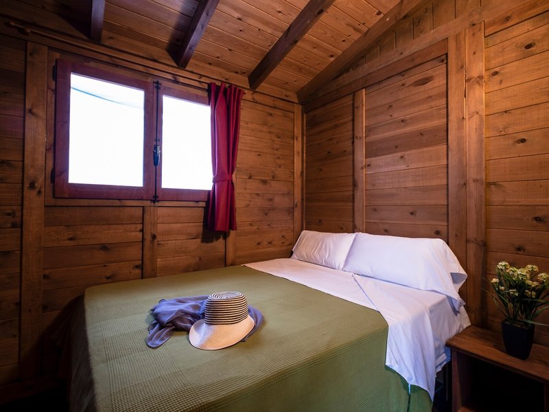 Estival Vendrell Platja 50