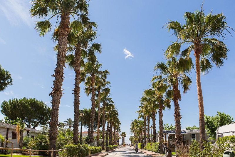 Camping Vendrell Platja 5 - Garden