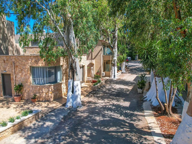 Paradise Apartments 6