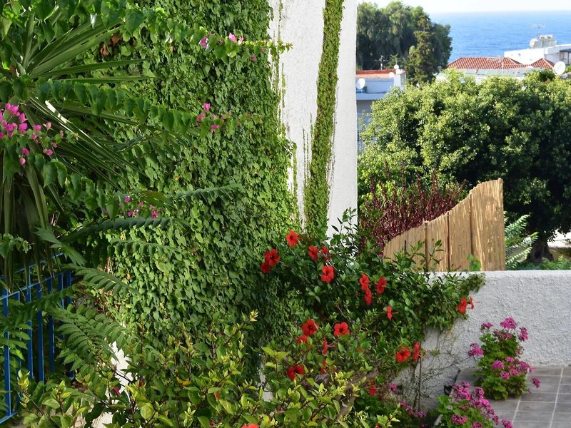 Kastelli Studios & Apartments 1