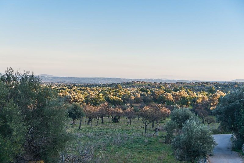 New Can Furios Hotel 1 - Landscape