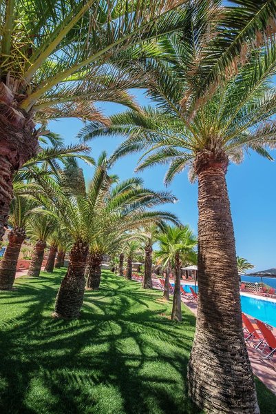 Europa Resort Hotel 10