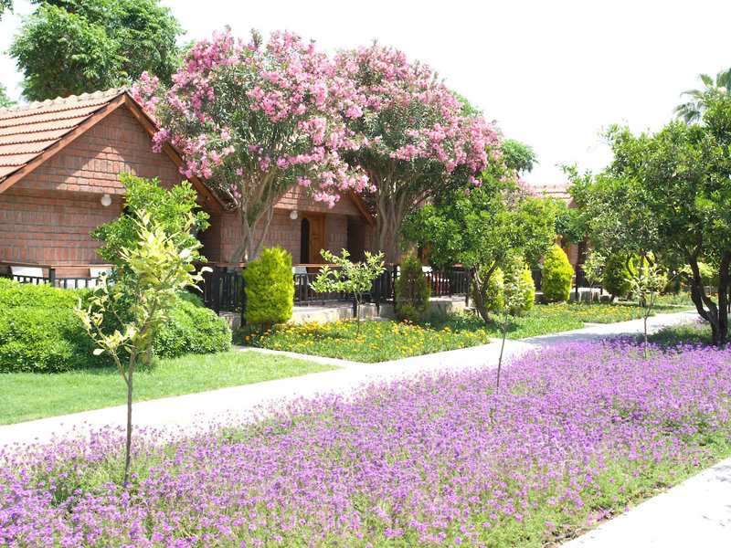 Can Garden Beach 7