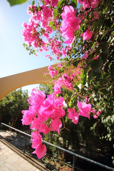 Horizon Beach Hotel 21