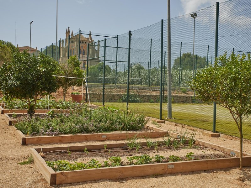 Hotel Sa Torre Mallorca  17