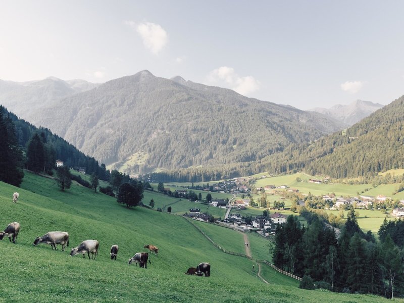 Alpenpalace Luxury Hideaway & Spa Retreat 9