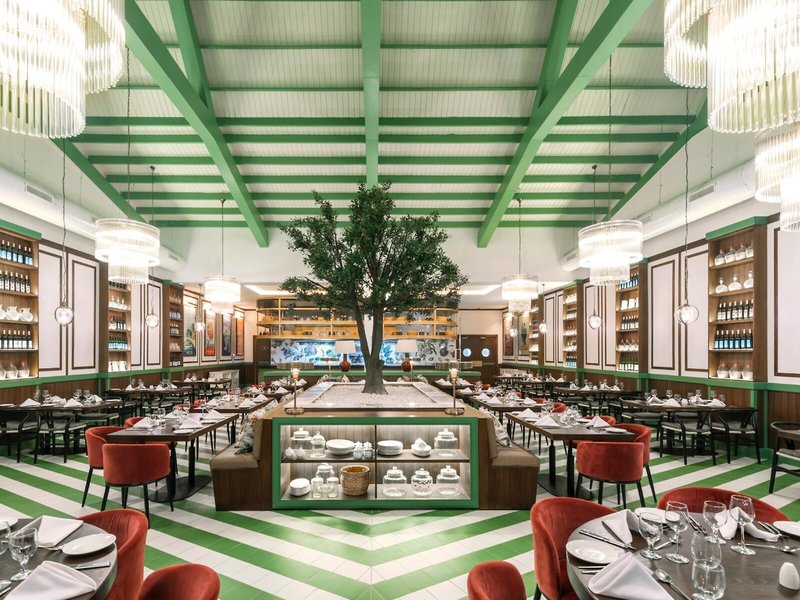 Ocean Coral Spring 25