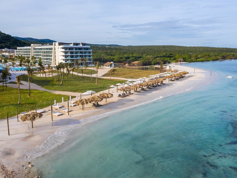 Ocean Coral Spring 2