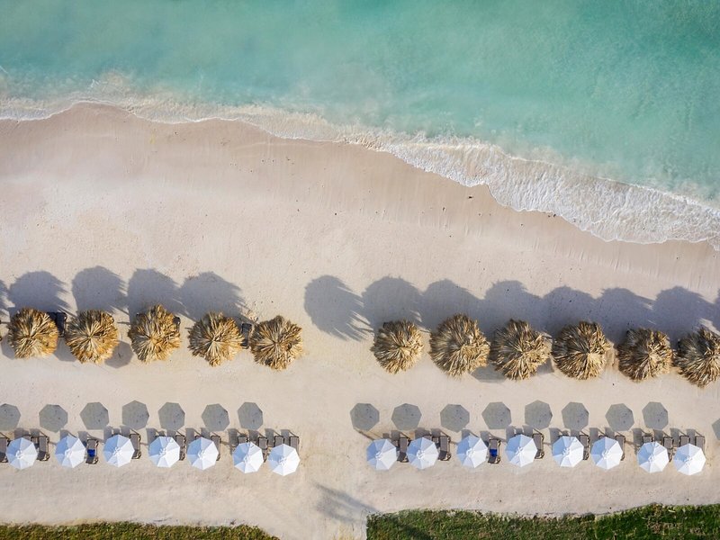 Ocean Coral Spring 4