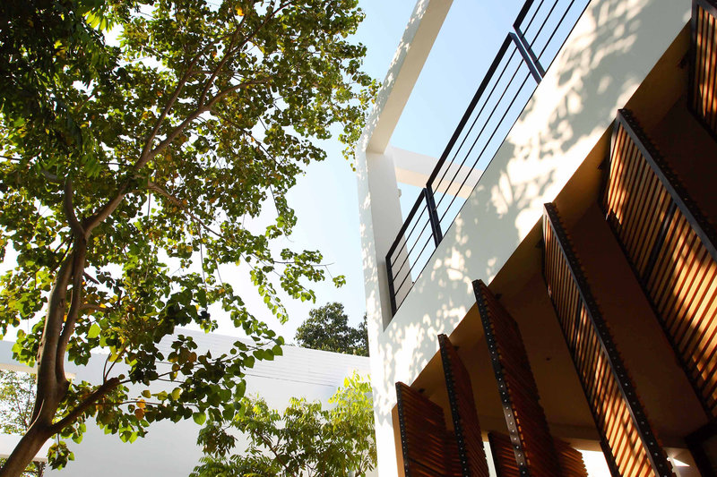 The Library Samui 2