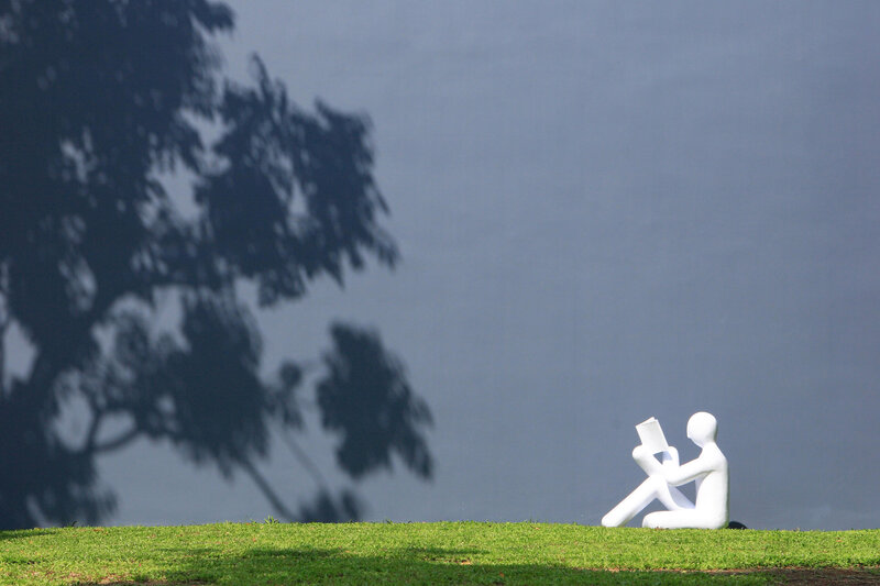 The Library Samui 20