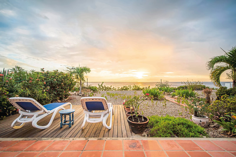 Captain Don's Habitat 41