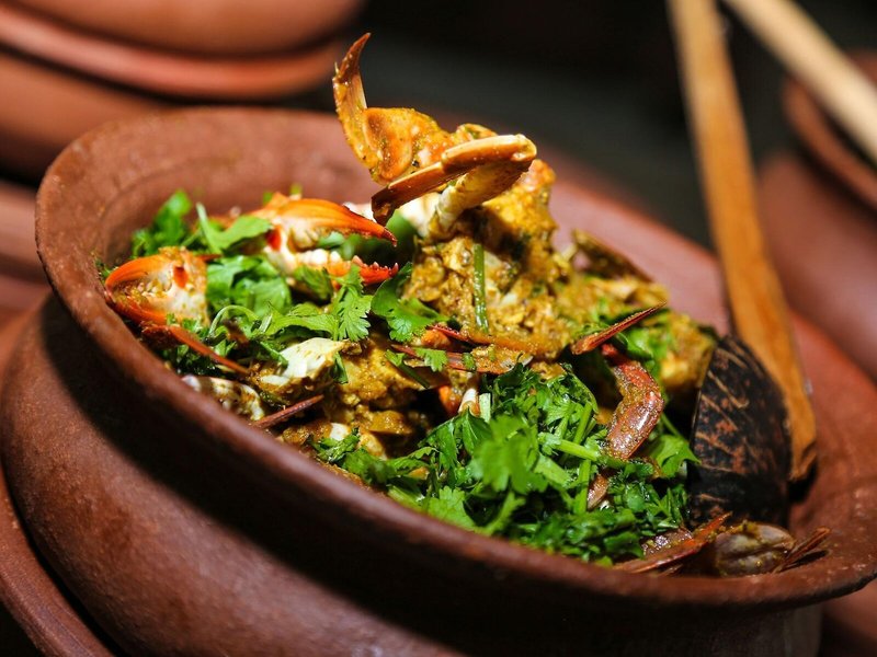 Oak Ray Wild Yala 13