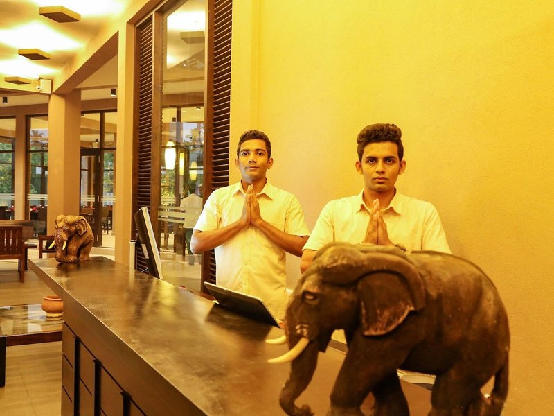 Oak Ray Wild Yala 14