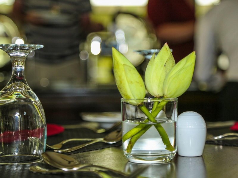 Oak Ray Wild Yala 17