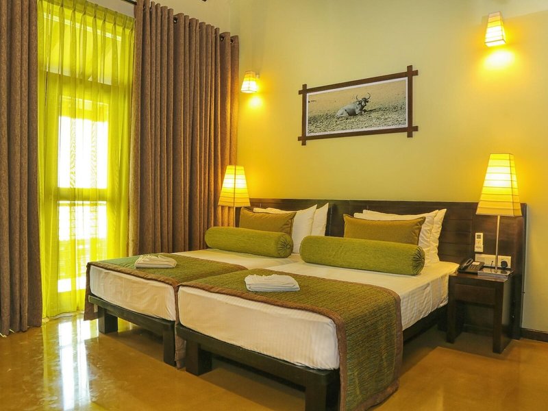 Oak Ray Wild Yala 18