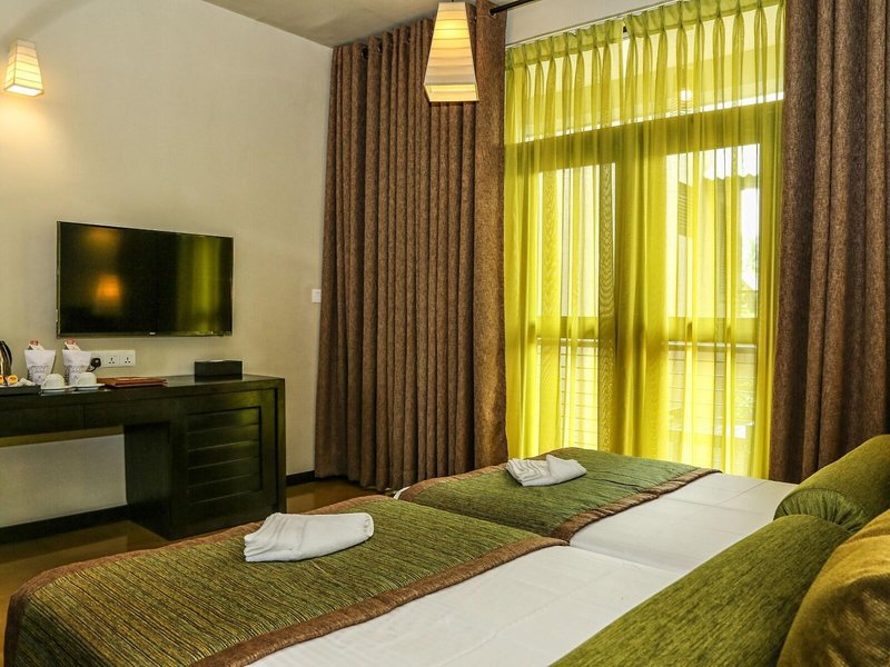 Oak Ray Wild Yala 21