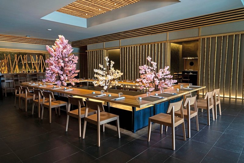 Majestic Elegance Costa Mujeres 10