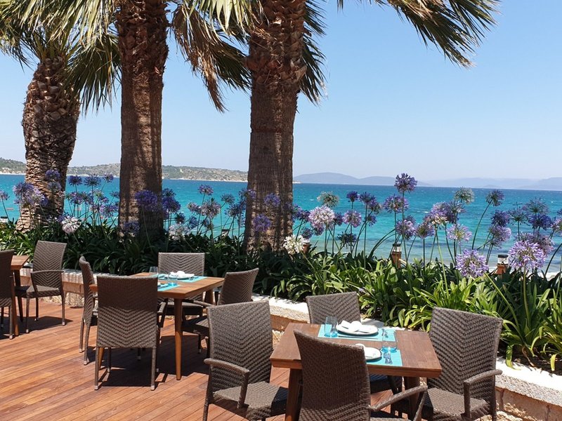 Reges A Luxury Collection Resort and SPA 12