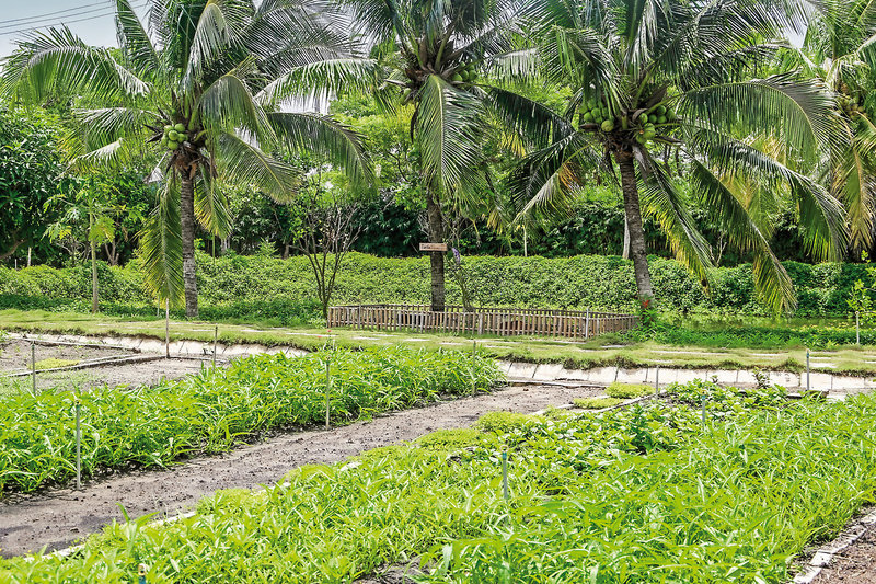 Meliá Ho Tram Beach Resort 48