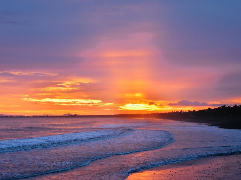 Fiesta Resort All Inclusive 8