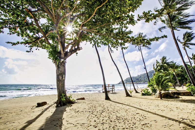 New Star Beach Resort 11