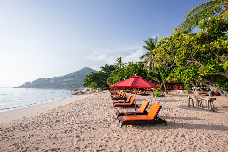 New Star Beach Resort 7