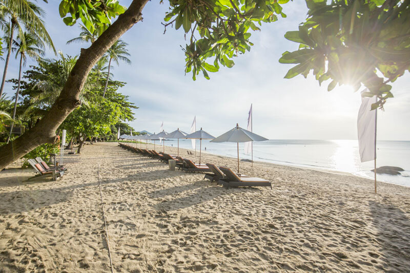 New Star Beach Resort 10