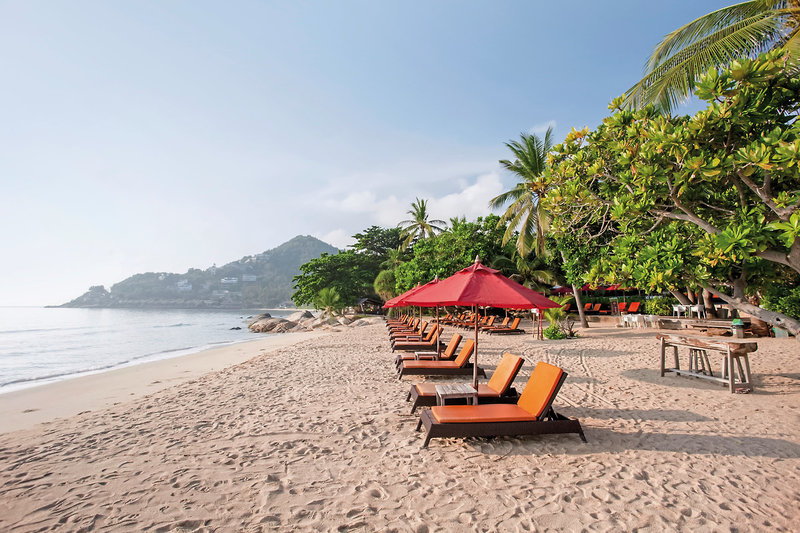 New Star Beach Resort 4