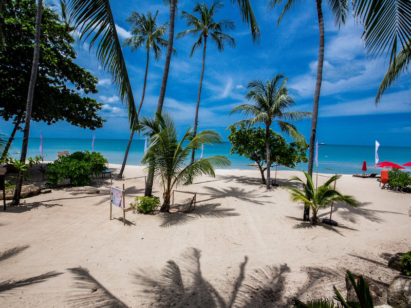 New Star Beach Resort 4