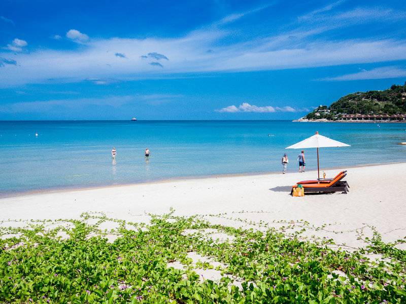 New Star Beach Resort 5