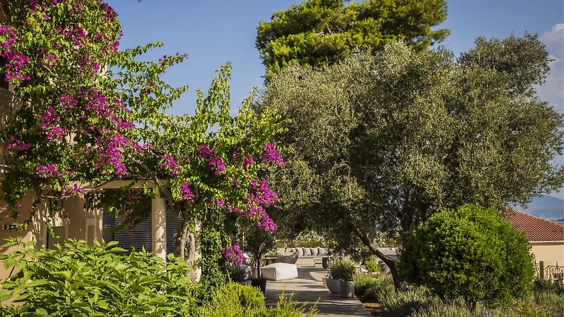 Thalassa Boutique Hotel Kefalonia 5 - Garden