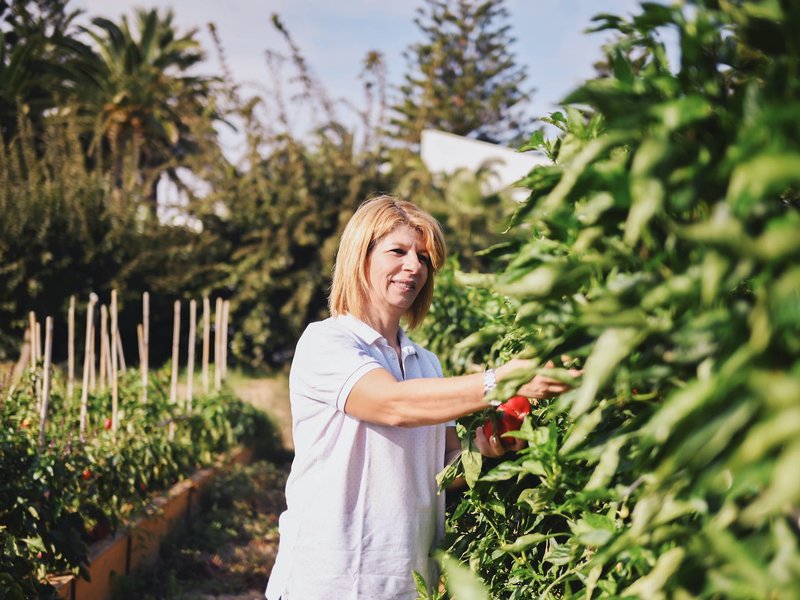 Grecotel Creta Palace 14