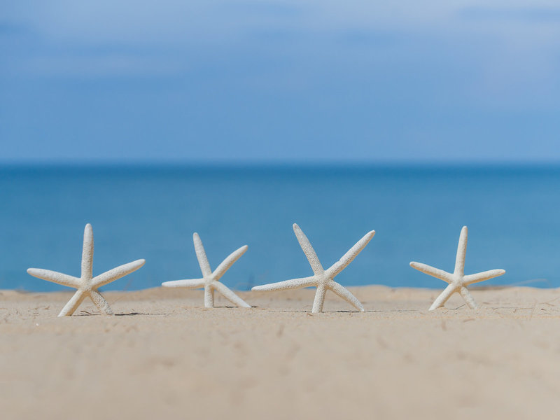 Khao Lak Emerald Beach Resort & Spa 4